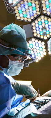 ca88手机客户端(安卓/苹果)CA88会员登录入口